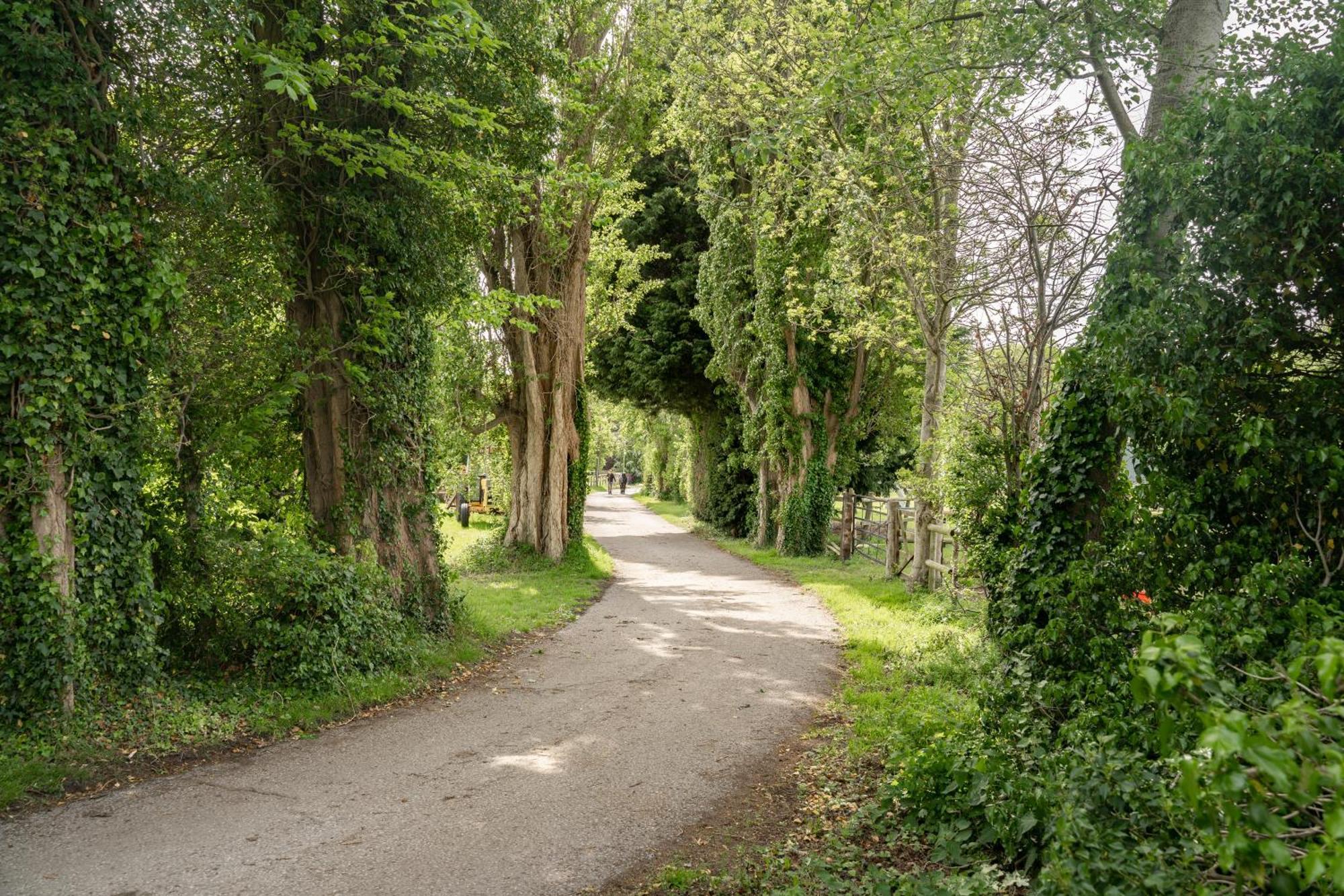Recently Updated Near Centre - For Up To 6 Holiday home