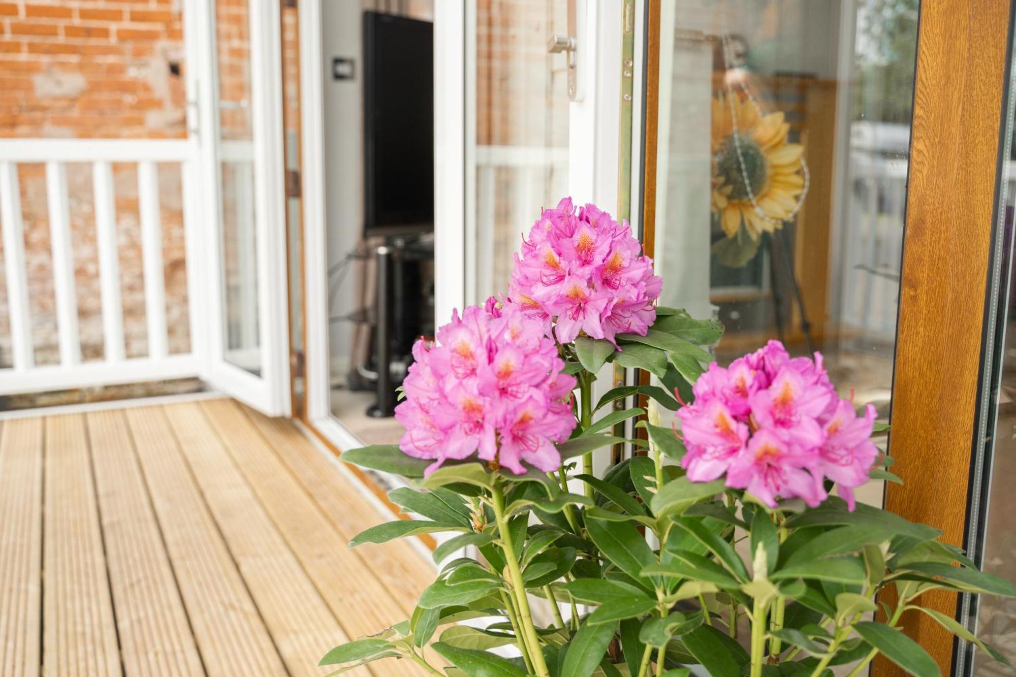Recently Updated Near Centre - For Up To 6 Holiday home *