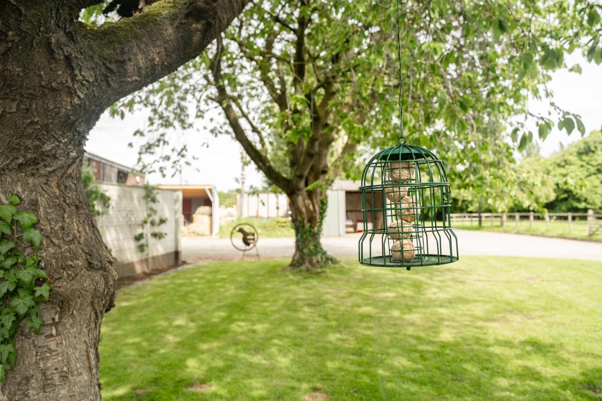 Recently Updated Near Centre - For Up To 6 Holiday home Chester